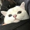 奈何